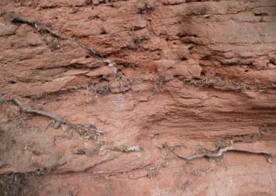 Permo-Triassic-Sandstones